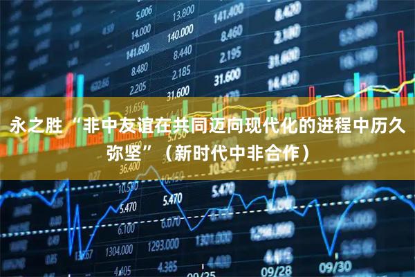 永之胜 “非中友谊在共同迈向现代化的进程中历久弥坚”（新时代中非合作）