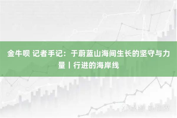 金牛呗 记者手记：于蔚蓝山海间生长的坚守与力量丨行进的海岸线