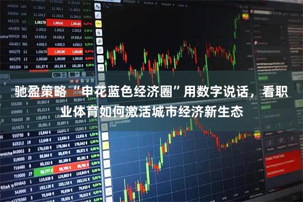 驰盈策略 “申花蓝色经济圈”用数字说话，看职业体育如何激活城市经济新生态